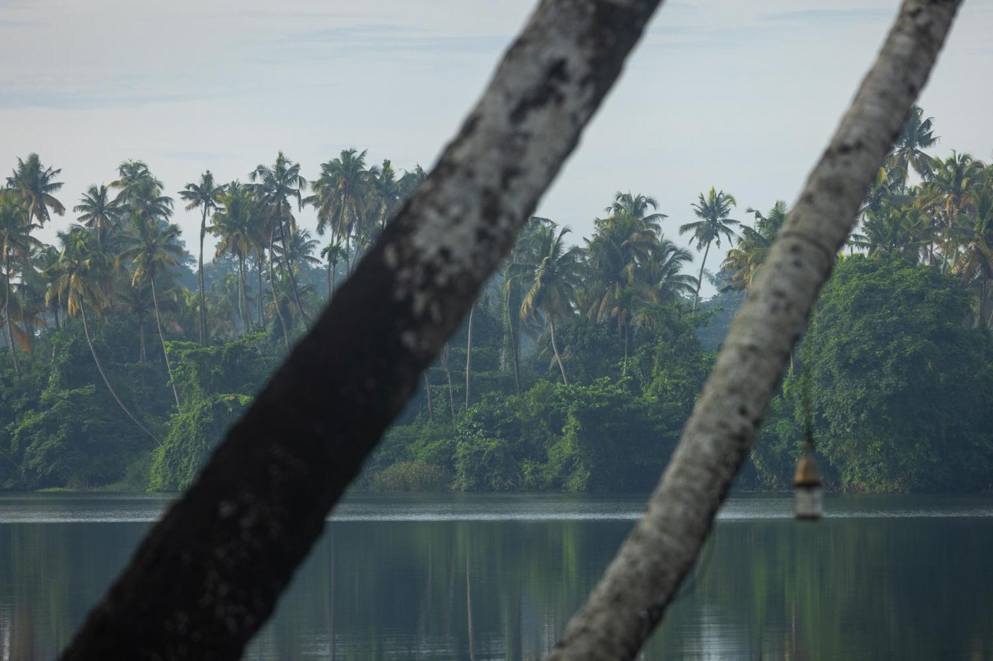 Cranganor History Cafe & Riverside Chateau North Paravur Exteriér fotografie