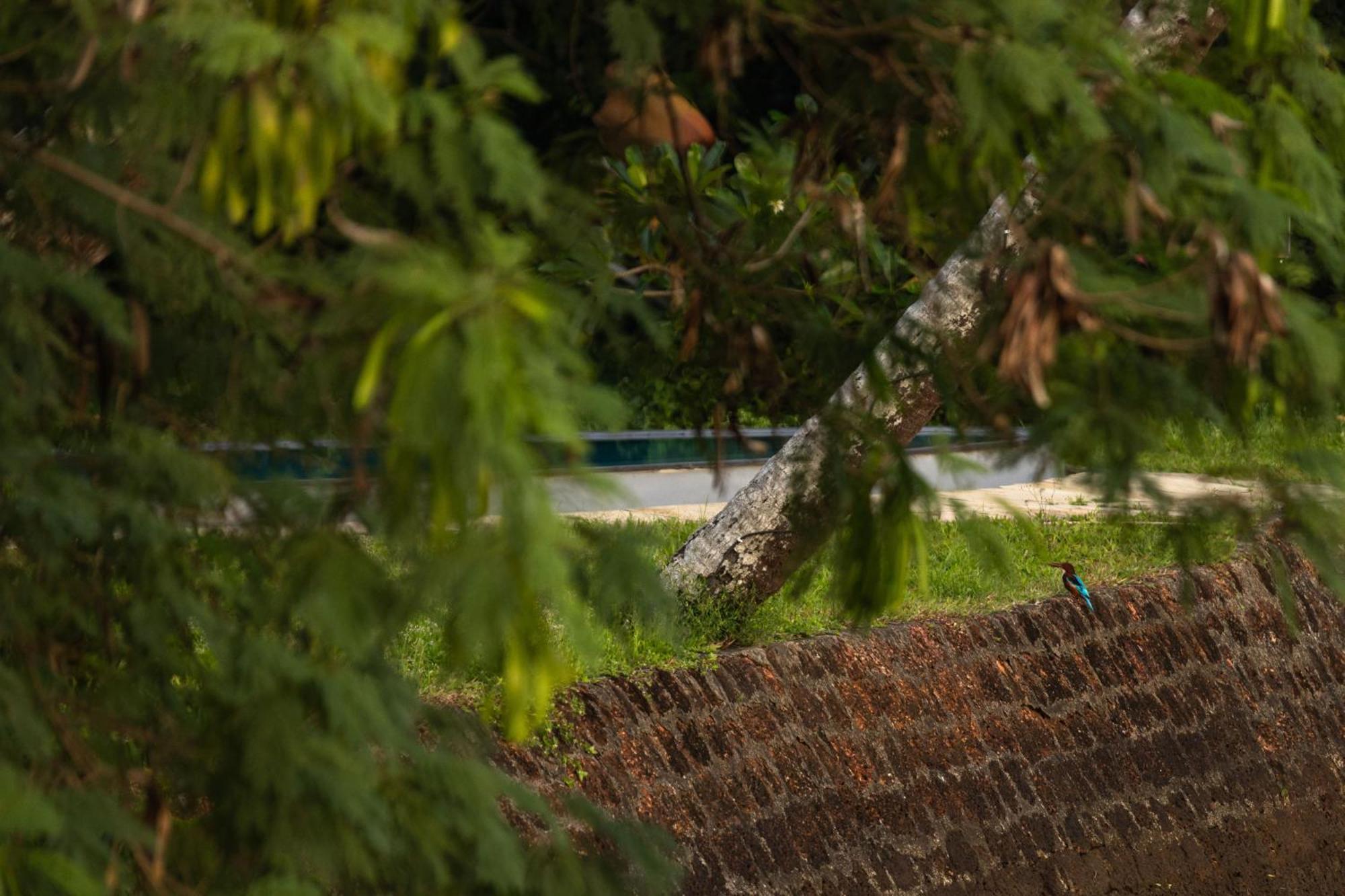 Cranganor History Cafe & Riverside Chateau North Paravur Exteriér fotografie